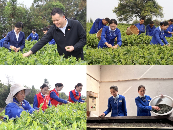 首页- 必发集团有限公司官方网站